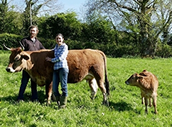 Ferme de Couveau - LAROCHEMILLAY