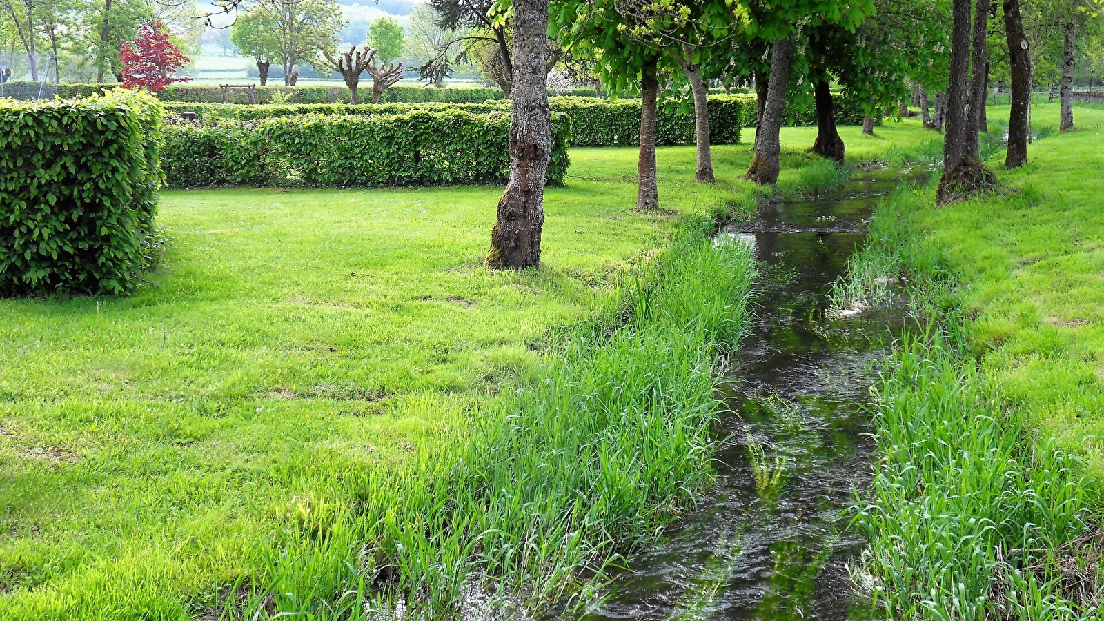 Le camping du Ternin 