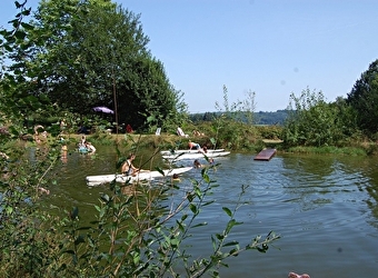La forêt du Morvan - LAROCHEMILLAY