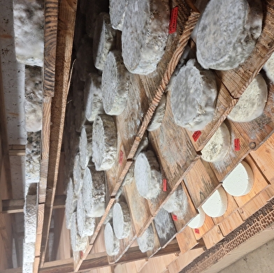 Fromagerie de la Chaume