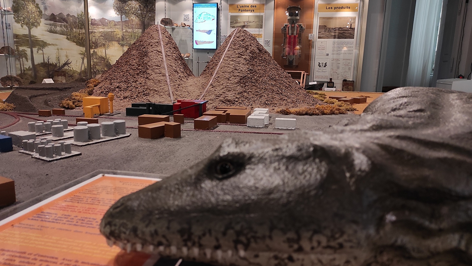 Visite guidée 'Les joyaux du Muséum'