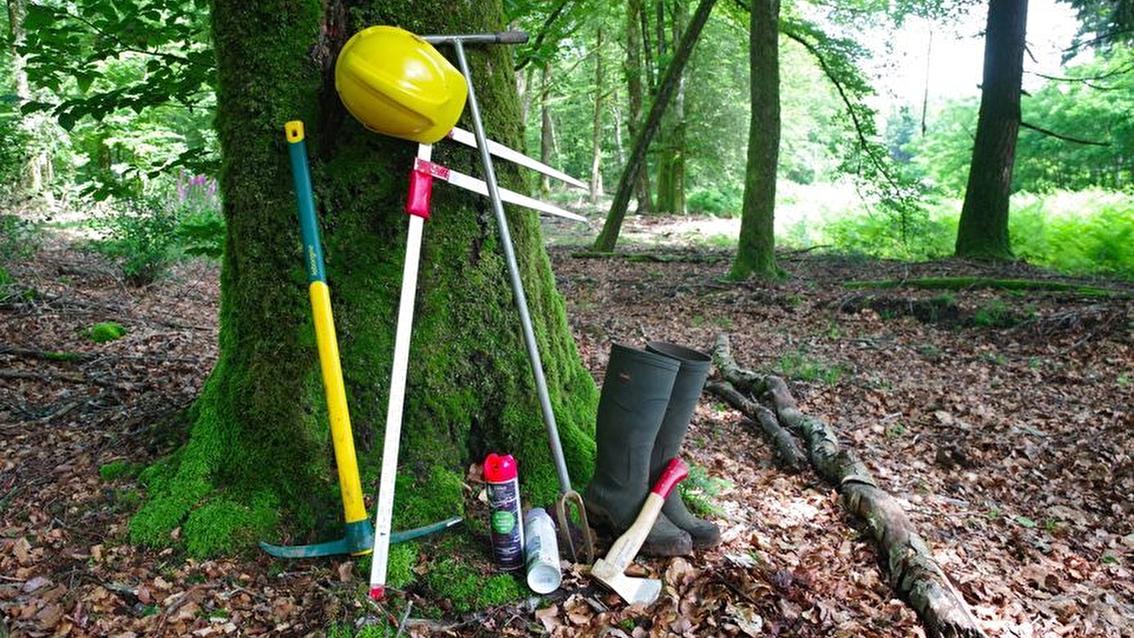 Dans la peau d'un forestier