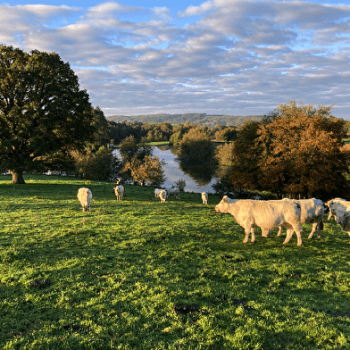 Les Prairies Gourmandes du Morvan - EARL Landrot Frères
