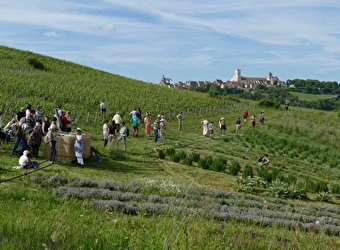 La Perce-Muraille - SAINT-PERE