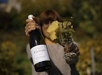 Domaine  des Coeuriots  - VEZELAY