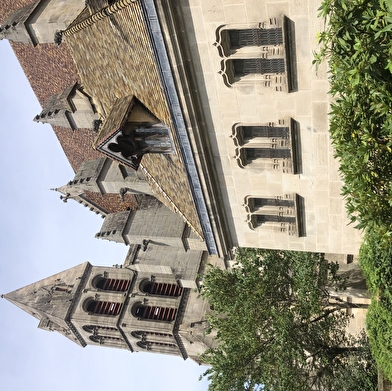 Visite guidée de la cathédrale et de son quartier canonial