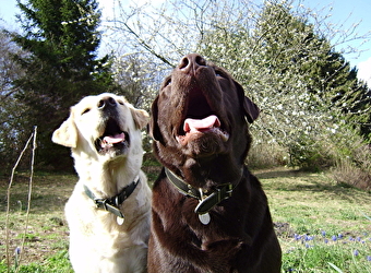 Camping Mesles - LAROCHEMILLAY