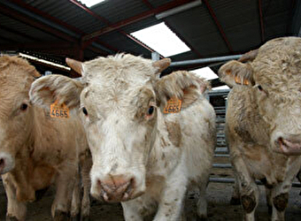 Sicagemac - CORBIGNY