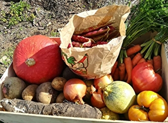 Ferme de Vézelay Terroirs - SAINT-PERE