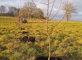 Les Jardins de Falune - FLETY