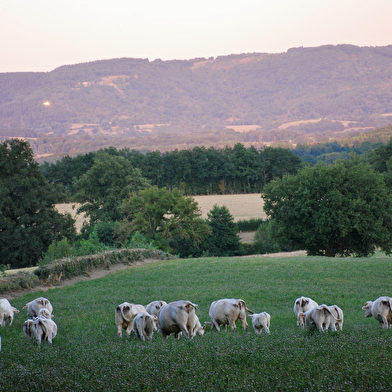 SARL CHÂTEAU DE VAUX