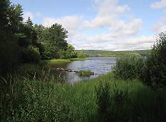 À la découverte du Domaine des Grands Prés - SAINT-AGNAN