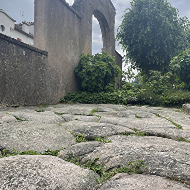 Balade au coeur de la ville antique