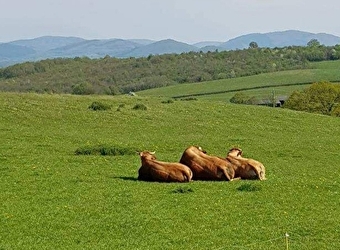 La Ferme de Chauvetière - FLETY