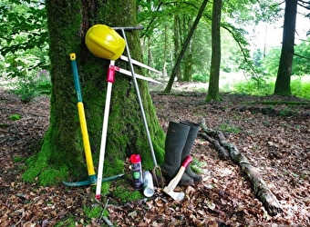 Dans la peau d'un forestier - MONTIGNY-EN-MORVAN