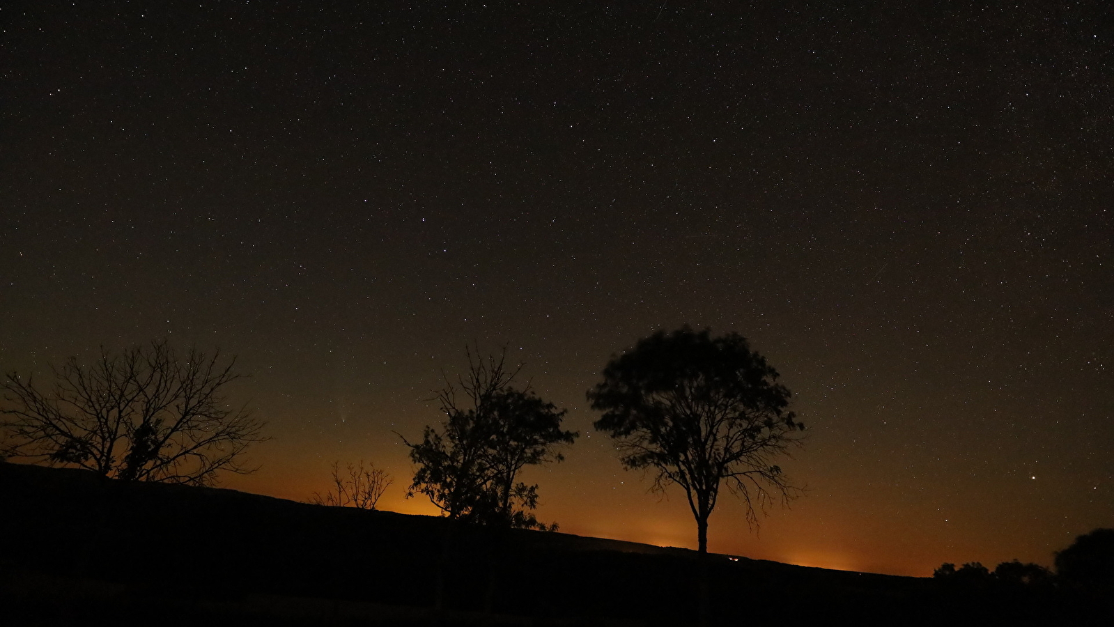 Au cœur de la nuit : la faune de Savilly