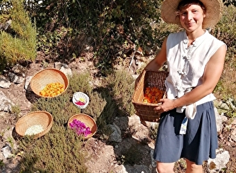 Trapi Trapan - GOULOUX