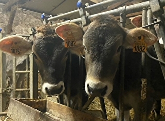 Ferme de l'Abbaye de la Pierre-qui-Vire - SAINT-LEGER-VAUBAN