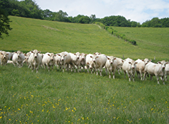 GAEC de l'Ouche à la Ville - PREPORCHE
