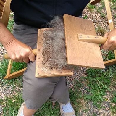 Visite collective d'une ferme lainière au sommet du Morvan