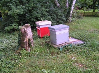 Le Bouteron Morvandiau - MONTREUILLON