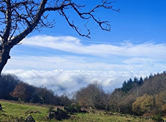 Gîte d'étape Uchon La Pierre qui Croule  - LA TAGNIERE