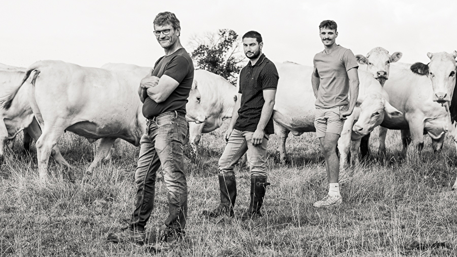 Ferme de la Lutarne - GAEC Joly 