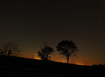 Au cœur de la nuit : la faune de Savilly - SAVILLY