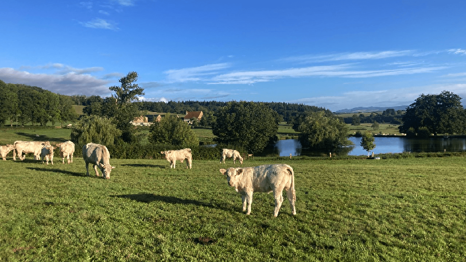Les Prairies Gourmandes du Morvan - EARL Landrot Frères