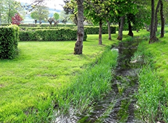 Le camping du Ternin  - LUCENAY-L'EVEQUE