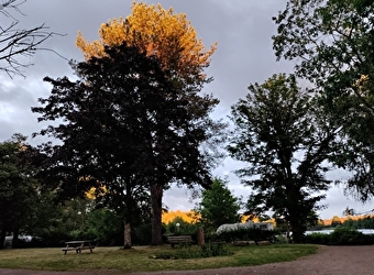 Camping de Lormes - l'Etang du Goulot - LORMES