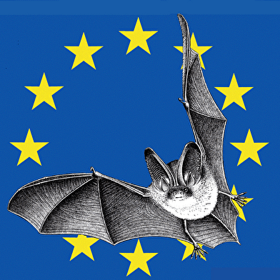 Balade
À la rencontre de la biodiversité au Parc des Chaumes