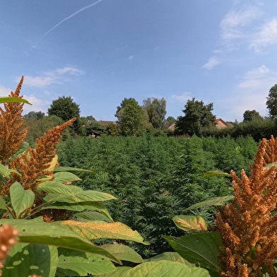 Jardin des Eaux Vives du Morvan