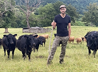 Le Grand Karadok - MESVRES