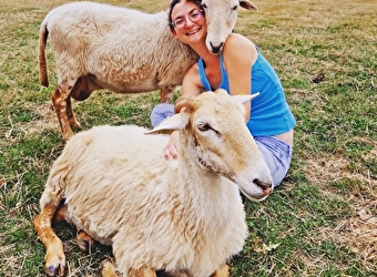 Les brebis de Pauline - MAGNY