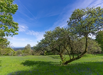 Aire de service pour les campings-cars - SAINT-LEGER-SOUS-BEUVRAY