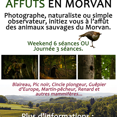 Thibault Fourrier - Chemins du Morvan