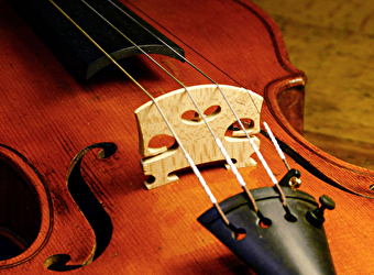 Volutes et Compagnie - EURL Iksis - Julien Fauchier - LA CHAPELLE-SOUS-UCHON