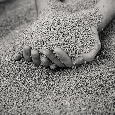 Ferme de la Lutarne - GAEC Joly 