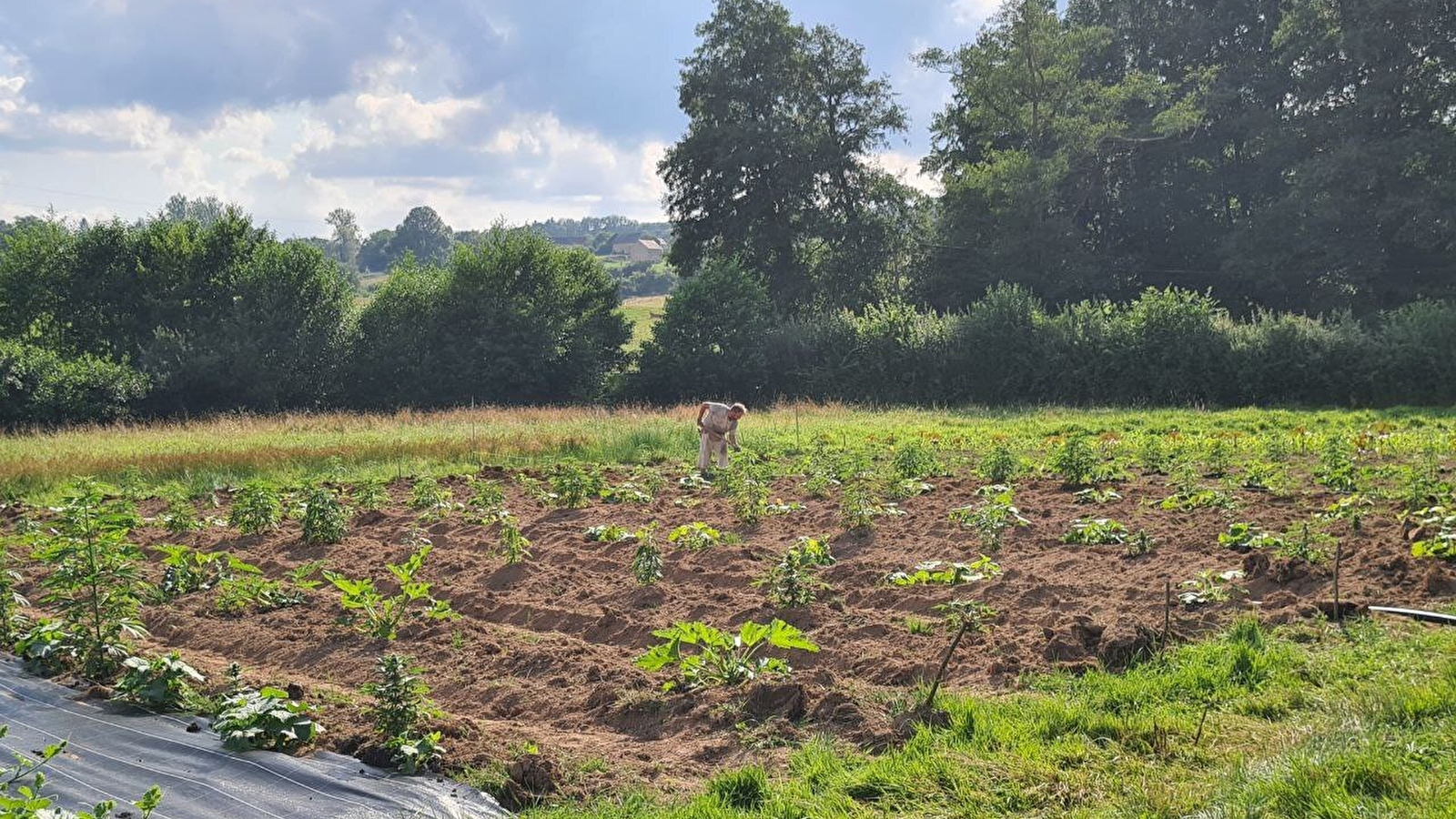 Jardin des Eaux Vives du Morvan