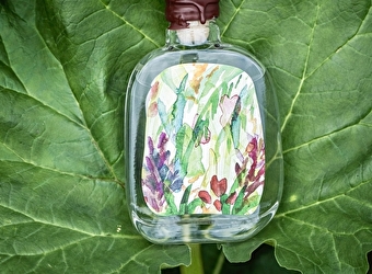 La Sauvage - Distillerie de Vézelay - ASQUINS