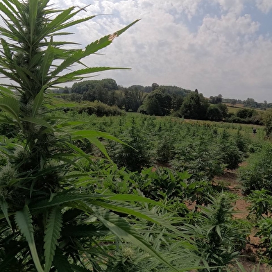 Jardin des Eaux Vives du Morvan