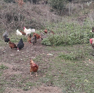 La Ferme des Grands Champs