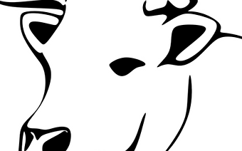  Pascal Fichot et  Muriel Petident - GACOGNE