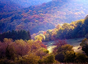 Aire de pique-nique de Bellevue - LA CELLE-EN-MORVAN