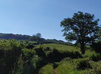 Le sentier de la Maison des Hommes et des Paysages - SAINT-BRISSON