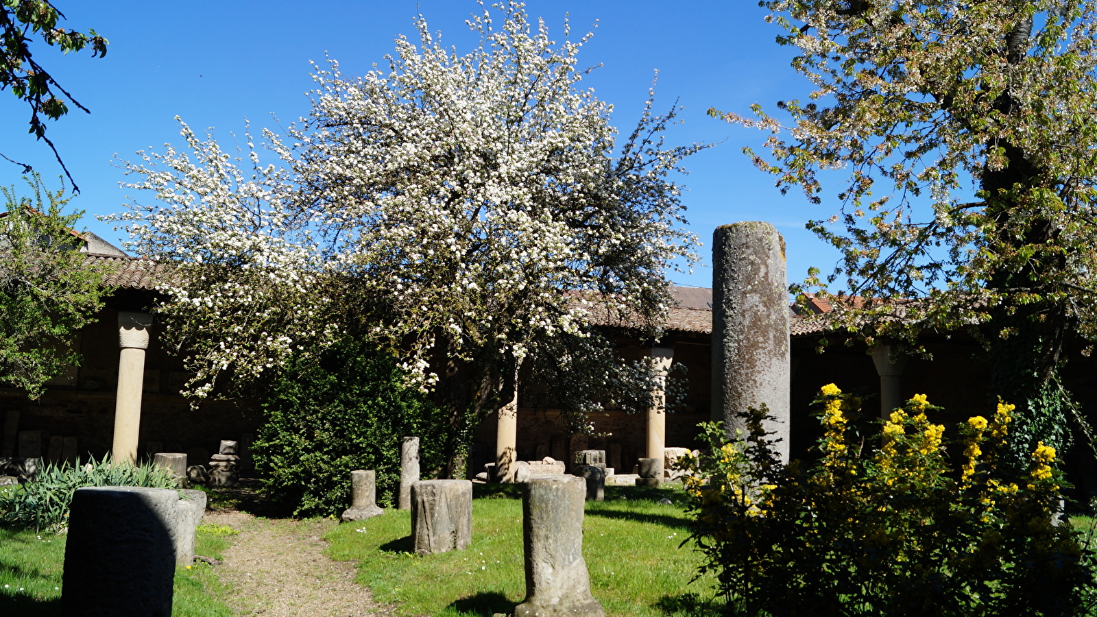 Balade au coeur de la ville antique