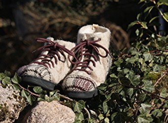 Filipendule - QUARRE-LES-TOMBES