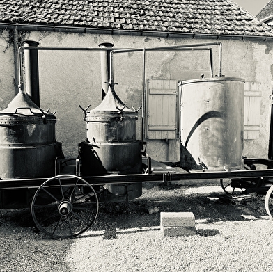 La Sauvage - Distillerie de Vézelay
